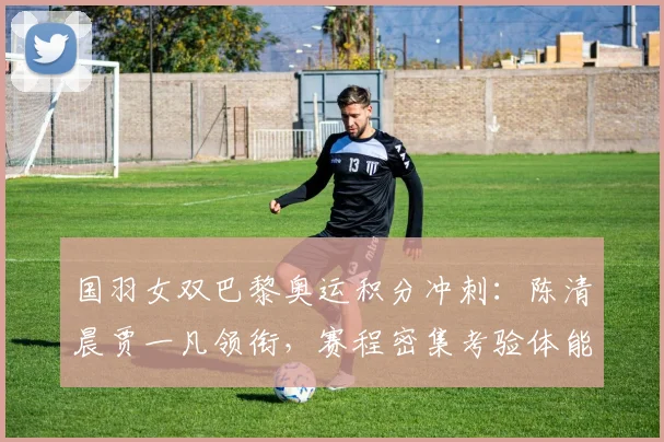 国羽女双巴黎奥运积分冲刺：陈清晨贾一凡领衔，赛程密集考验体能 - 搜狐体育资讯