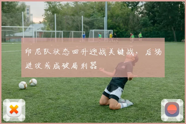 印尼队状态回升迎战关键战，后场进攻或成破局利器 - 搜狐体育推荐