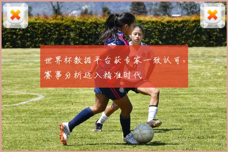 世界杯数据平台获专家一致认可,赛事分析迈入精准时代 - 搜狐体育推荐