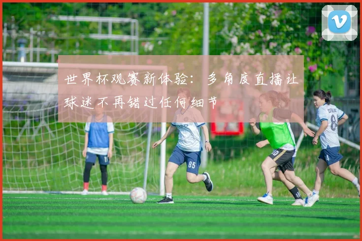 世界杯观赛新体验:多角度直播让球迷不再错过任何细节 - 搜狐体育推荐