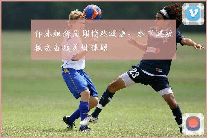 仰泳组新周期悄然提速，水下腿短板成备战关键课题 - 搜狐体育推荐