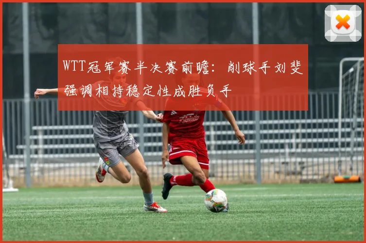 WTT冠军赛半决赛前瞻：削球手刘斐强调相持稳定性成胜负手 - 搜狐体育推荐