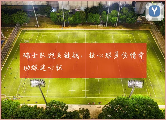 瑞士队迎关键战，核心球员伤情牵动球迷心弦 - 搜狐体育推荐