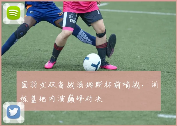 国羽女双备战汤姆斯杯前哨战，训练基地内演巅峰对决 - 搜狐体育资讯