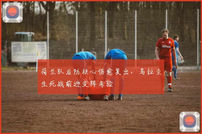 荷兰队后防核心伤愈复出，乌拉圭生死战前迎变阵考验 - 搜狐体育推荐